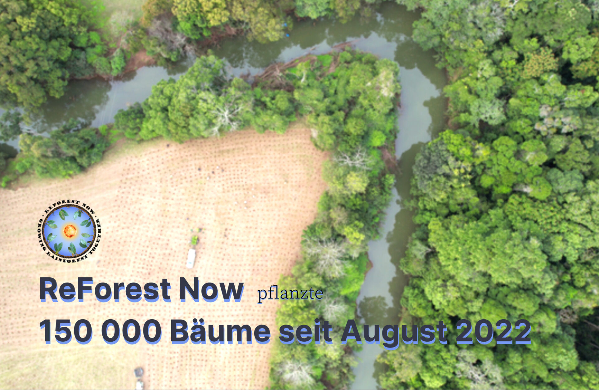 ReForest Now hat seit August 2022 bereits 150000 Bäume gepflanzt